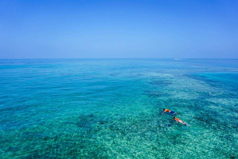 plongée mer méditerranée misincu Hôtel au Cap Corse