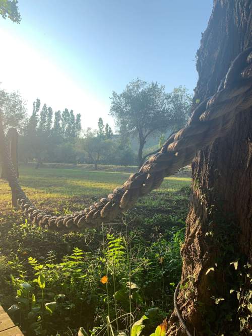 jardin legumes misincu cap corse Hôtel Ecologique en Corse