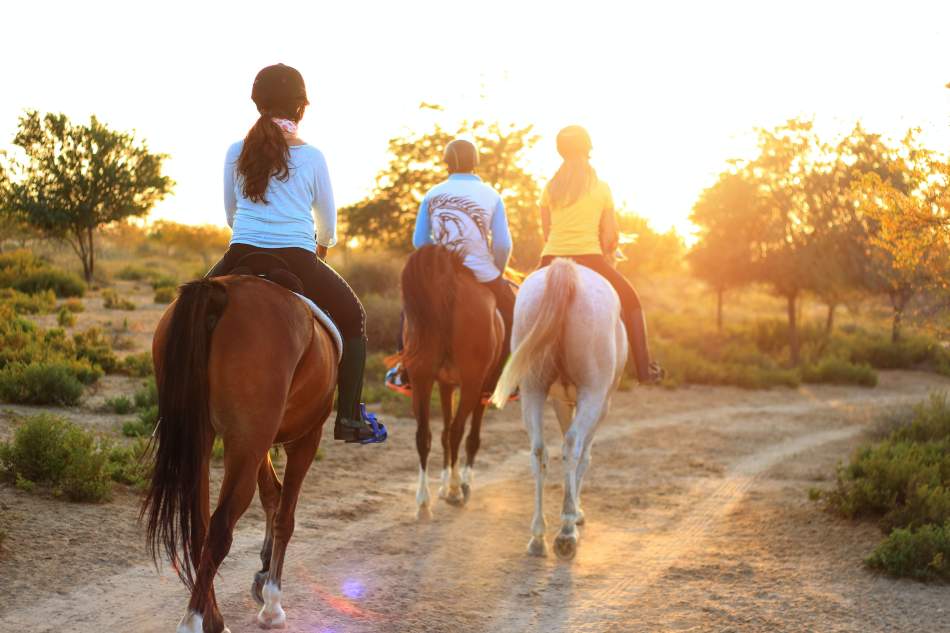 Horse riding